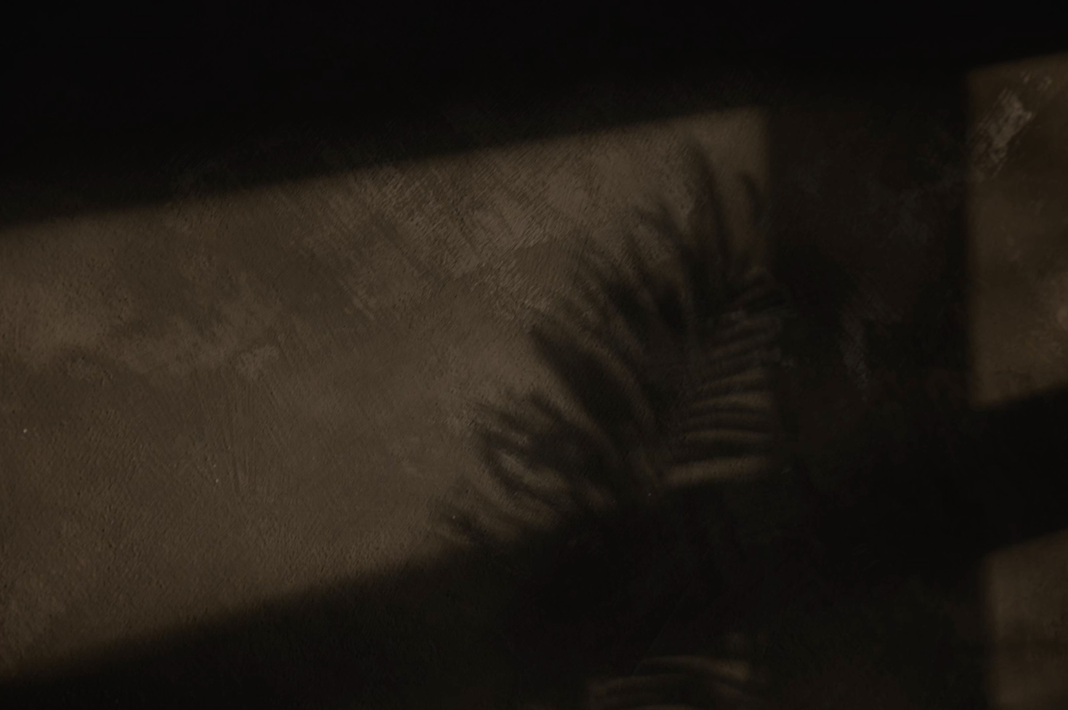 A shaft of light cutting through shadow