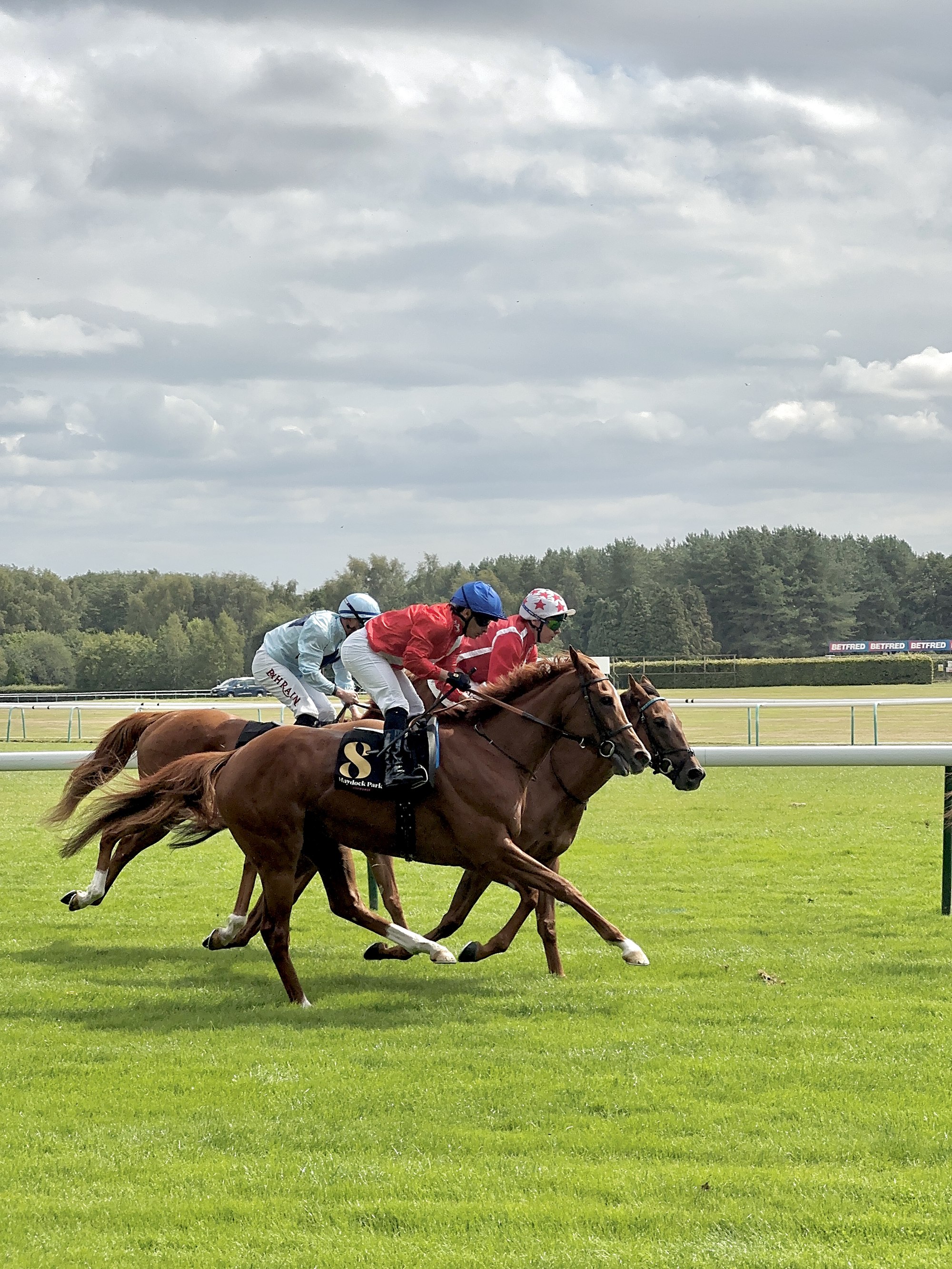 Jockeys racing