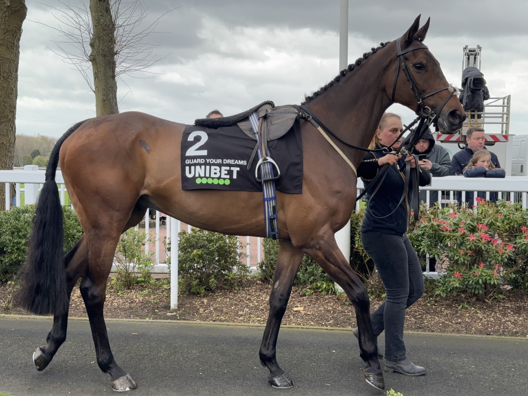 Racehorse and handler