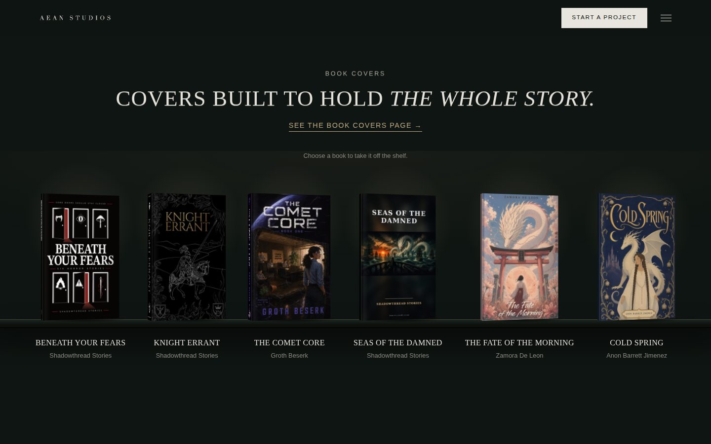 The 3D bookshelf of book covers on the AEAN Studios site